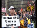 remembering robert dziekanski