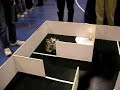New Gats Fire Fighting Robot