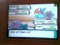 Final de la Copa de los 4 Dragones Pokémex 16 Diciembre 2007