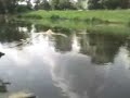Mój ?lizg bagienny Lotos Mój ?lizg bagienny Lotos