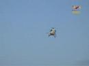 ASPA Helicopters
