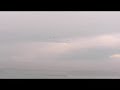 ron-paul-flyby-south-beach.html