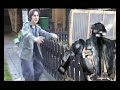 The Robot (Incredible CGI Robot Animation)