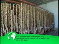 Conservaci�n del corcho como herramienta de sostenibilidad