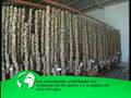 Conservación del corcho como herramienta de sostenibilidad