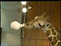 Ellen DeGeneres Behind the Scenes Video Ellen DeGeneres Behind the Scenes Video