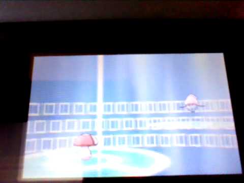 how to get pp max in pokemon x