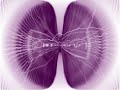 Auricular - Pilzvergiftung