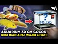 Akuarium Kecil Untuk Ikan Hias
