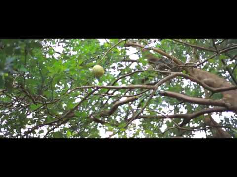 novormayude madhuram short film Chirikkudukka1 short film novormayude madhuram short film Chirikkudukka1 short film