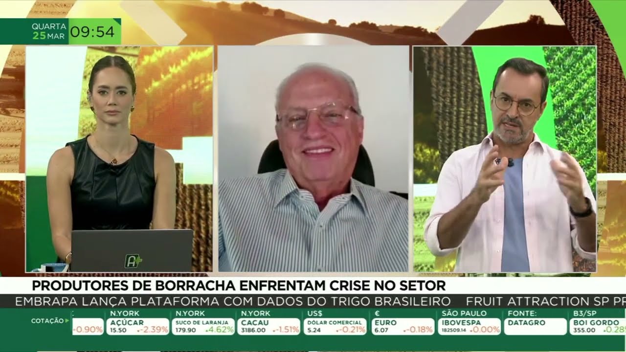 Produtores de borracha enfrentam crise no setor