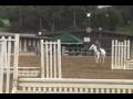 videos de Pappa Smurf  -- Champion Small Pony Hunter for sale or lease