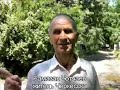 В Черкесске с наступлением лета количество расклеиваемых объявлений в непредназначенных для этих целей местах настолько возросло, что улицы города стали напоминать один большой рекламный щит. Бороться с проблемой некому.