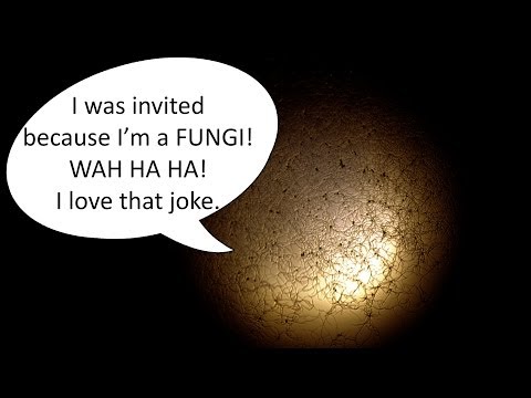 how to kill fungus lens