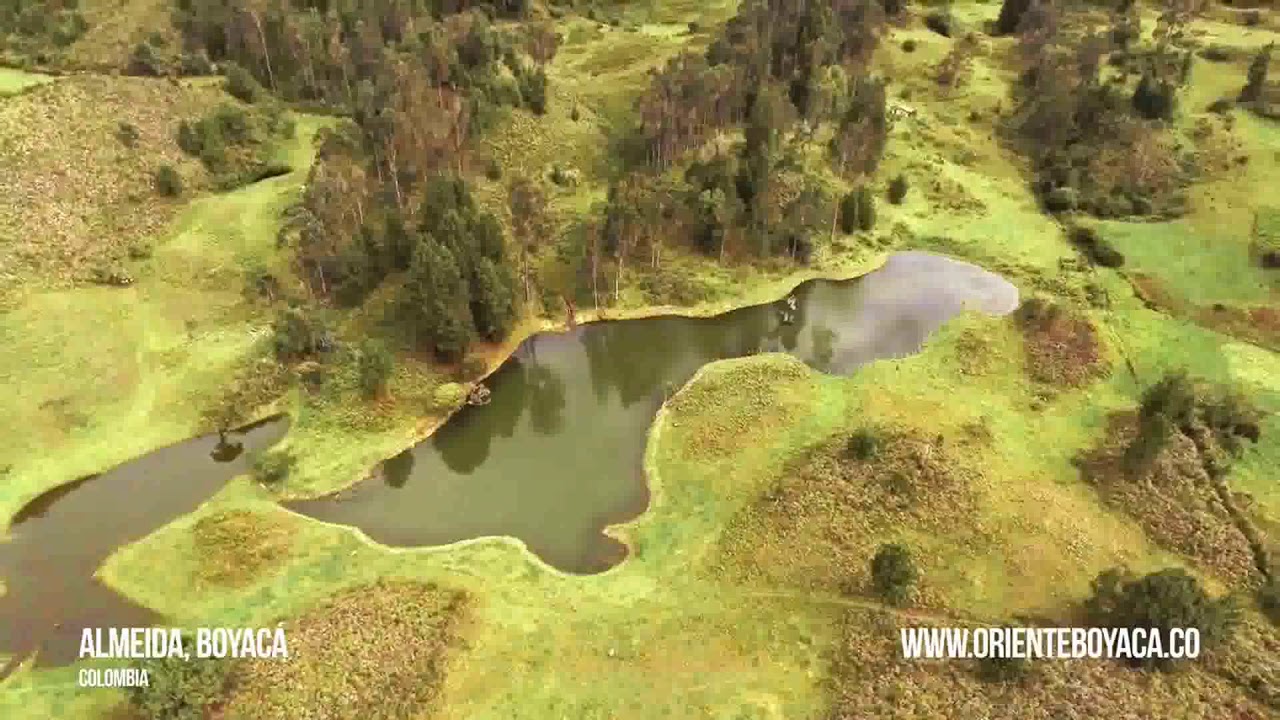 Almeida: "Corazón Valletenzano"