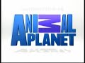 IDs de ANIMAL PLANET - 2008