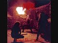 Immortal - Cryptic Winterstorms Immortal - Cryptic Winterstorms