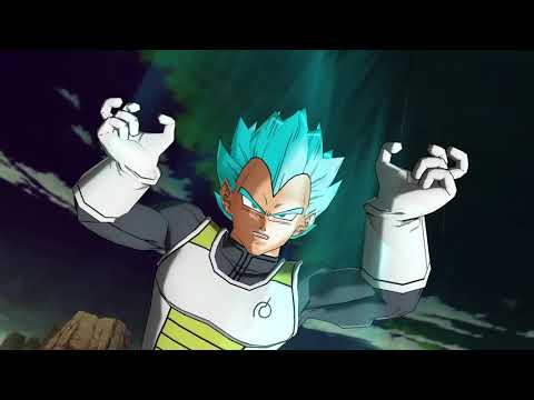 Vidéo 1