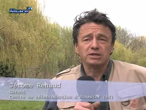 Image de prévisualisation YouTube