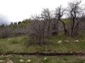 Click here to watch this video Wheeler Creek trail