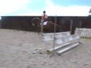 Royal Ransom Showjumping 2008