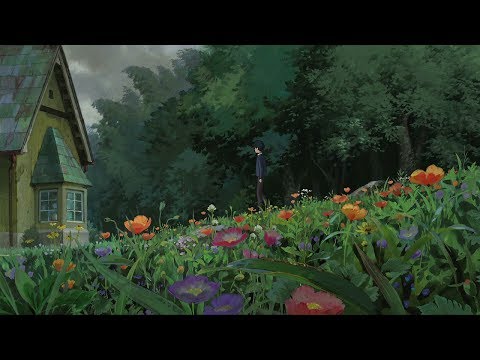 動画