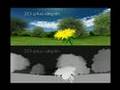 Tutorial: The 5 minutes drill to creating 3D WOWvx content