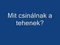 A barátságos tehenek