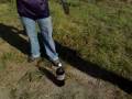 videos de Experimento Cocacola+Mentos