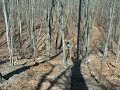Dual Sport Enduro Long island Huge hill climb klx400
