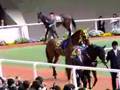2008年桜花賞パドック
