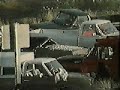 the infamous exploding whale