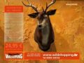 Jaegermeister Wildshopping