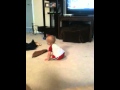 Kade Dancing Part 1
