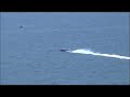 sunny isles beach offshore powerboat races 2008