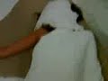Video(092).3gp