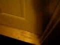 My dog opening the door