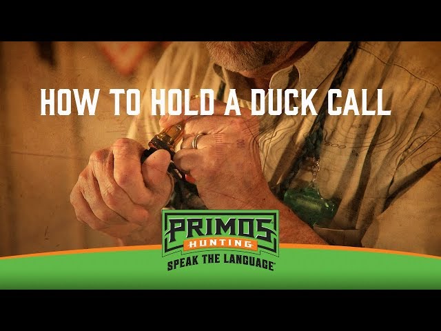 What Type of Duck Call to Buy