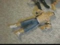 whw cena hogan figers