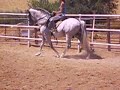 Ovación IV-paso español Ovación IV-paso español