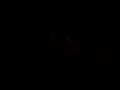 videos de MADRIZA AL MAISTRO