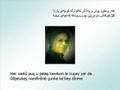 Mamlê - xakî kuchey yarekem