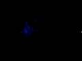 2007 Eric Clapton live in Singapore - Blues acoustic solo