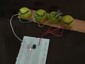 AVR with Lemon Power
