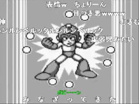 動画