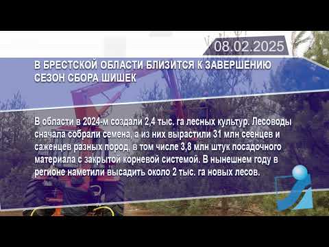 Новостная лента Телеканала Интекс 08.02.25.