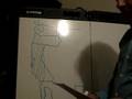 California earthquake prophecy (vision)