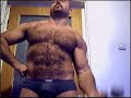 Hairy muscle bear flexing posing pumping