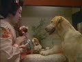 Japanese Dog Food Advertisement w/Geisha