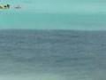 Baby beach - Aruba